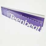 Full Teen-Beat Moon concert booklet