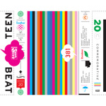 Teen-Beat 20th Anniversary CD album